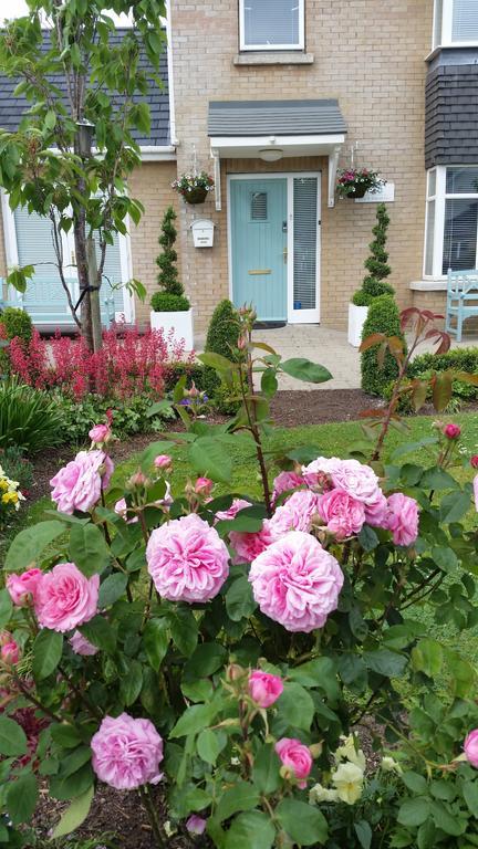 No.5 Bed & Breakfast Kilcullen Buitenkant foto
