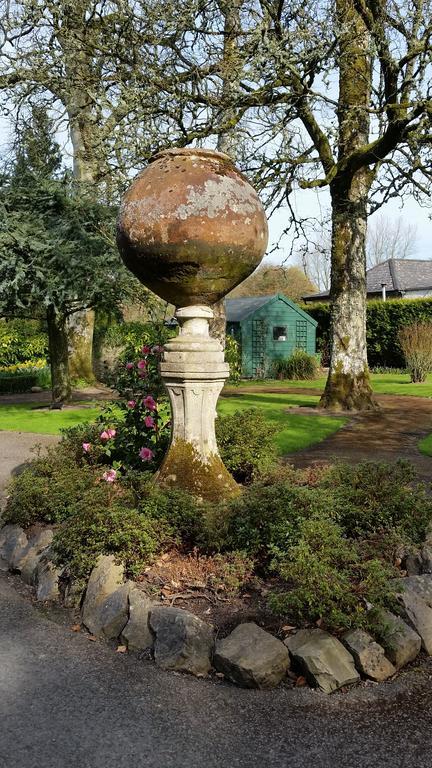 No.5 Bed & Breakfast Kilcullen Buitenkant foto