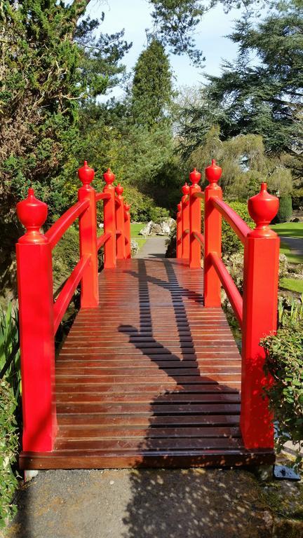 No.5 Bed & Breakfast Kilcullen Buitenkant foto